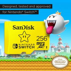 Sandisk microSD for Nintendo Switch 256GB