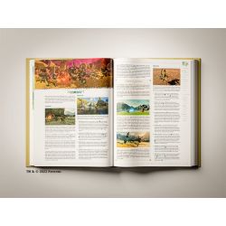 Zelda: TOTK – The Complete Official Guide: Collector's Edition